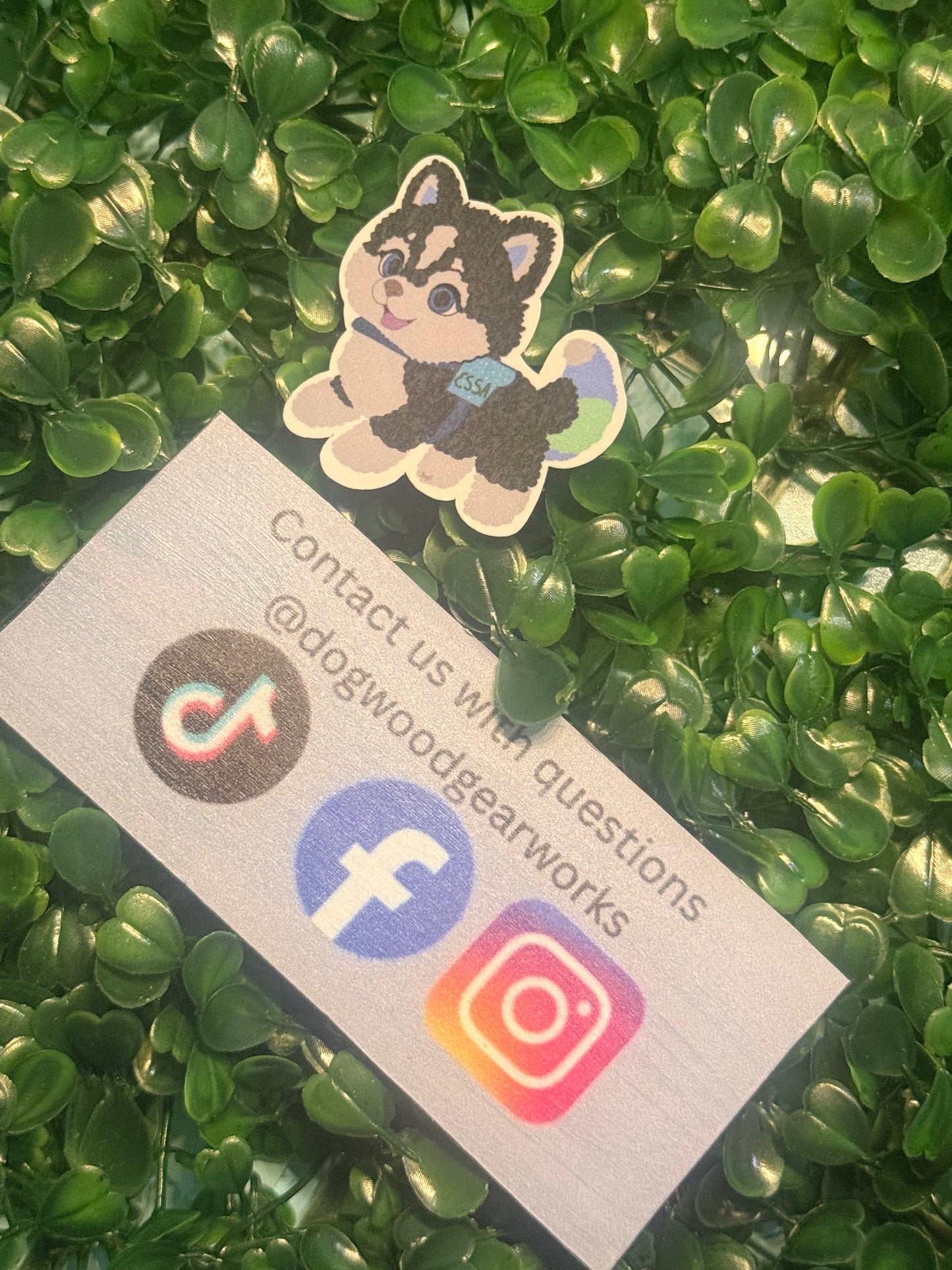 ESSA sticker