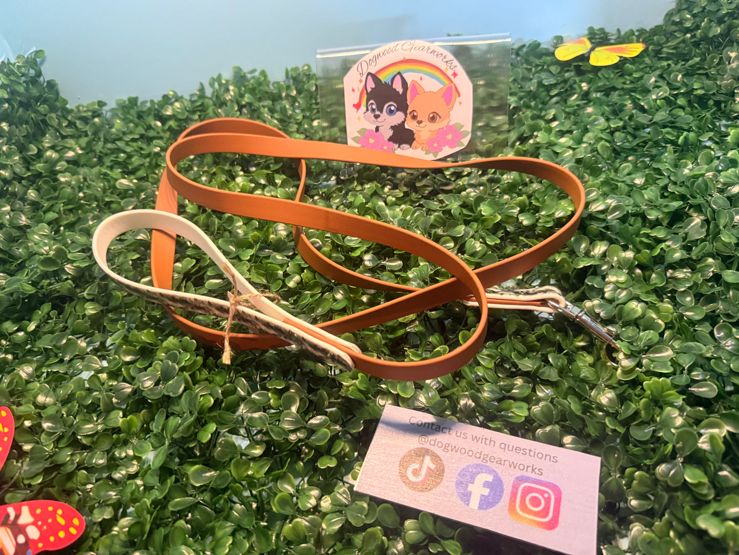 Biothane leash