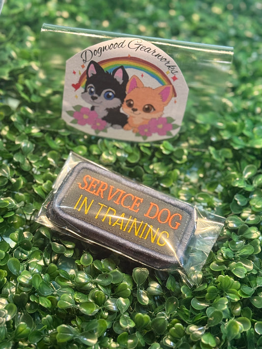 Train with me patch set