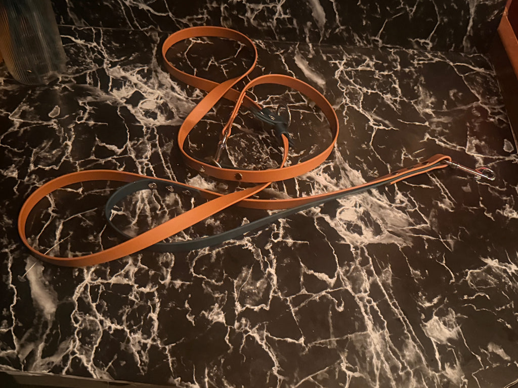 Waterproof dog leash