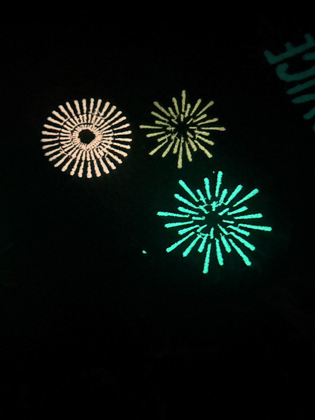 4th of July vest