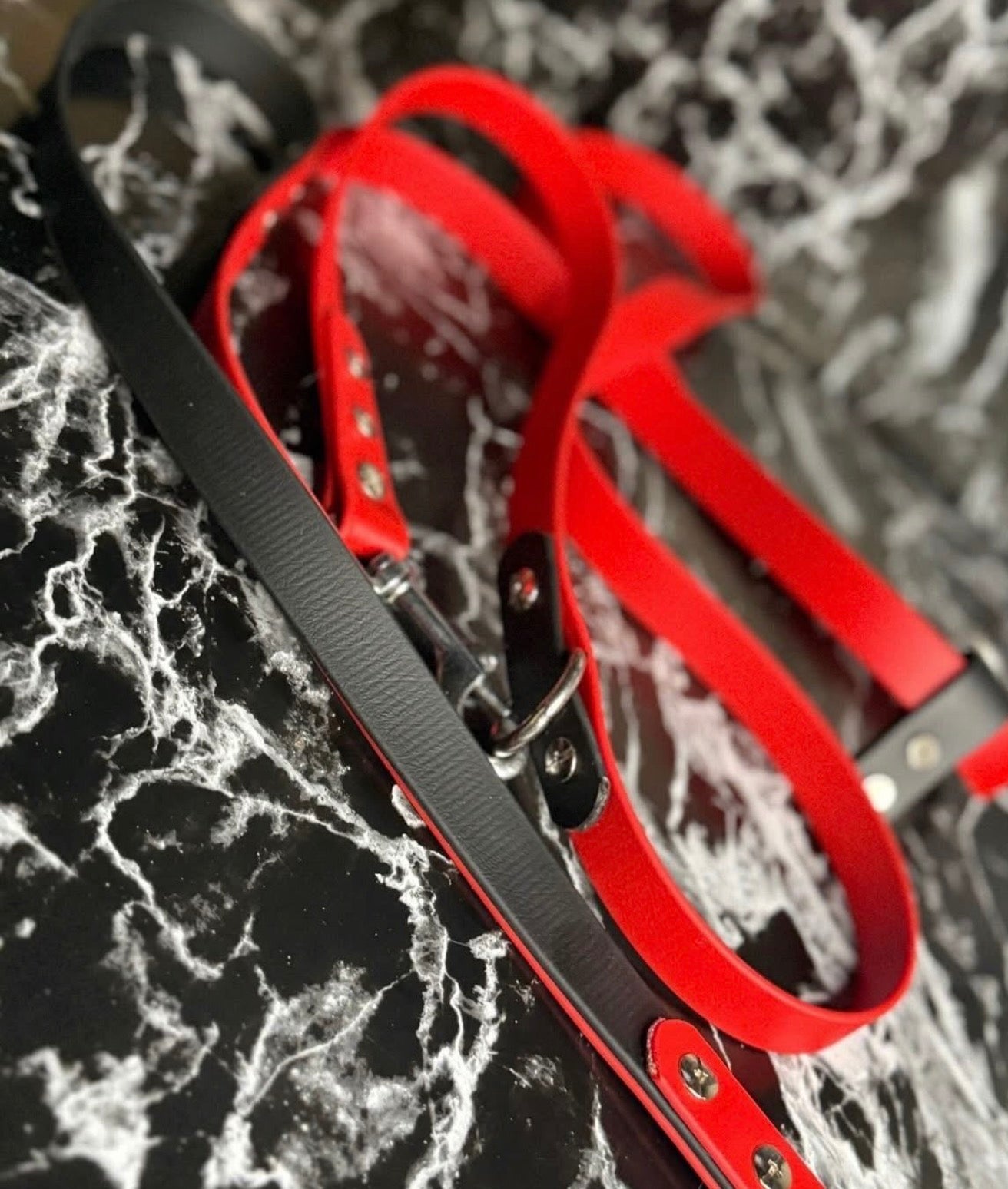 Handsfree leash