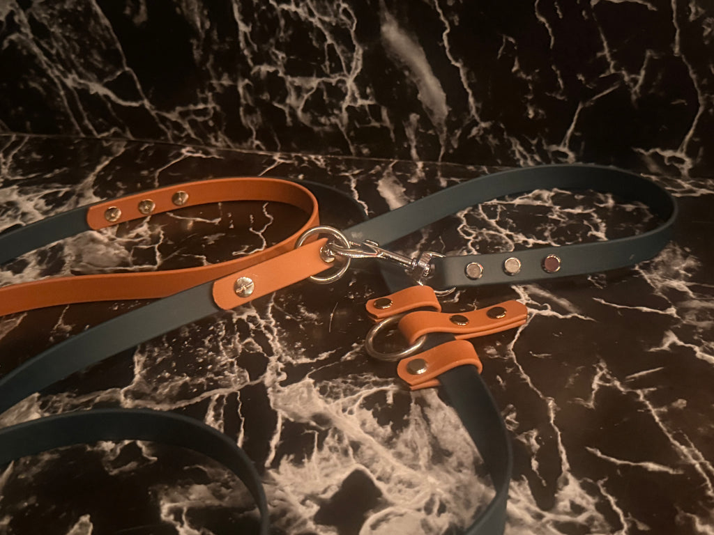 Multipurpose Leash