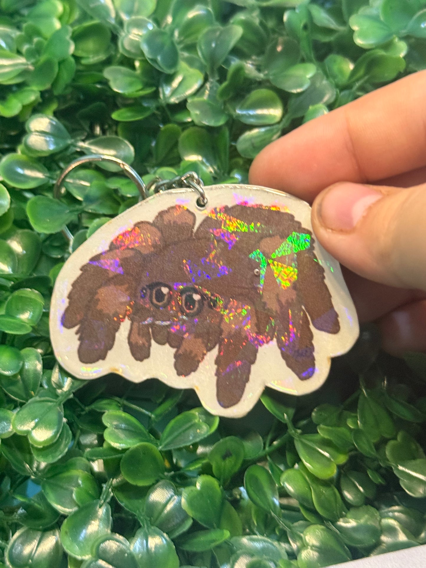Fuzzy holographic spider