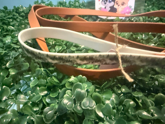 Biothane leash