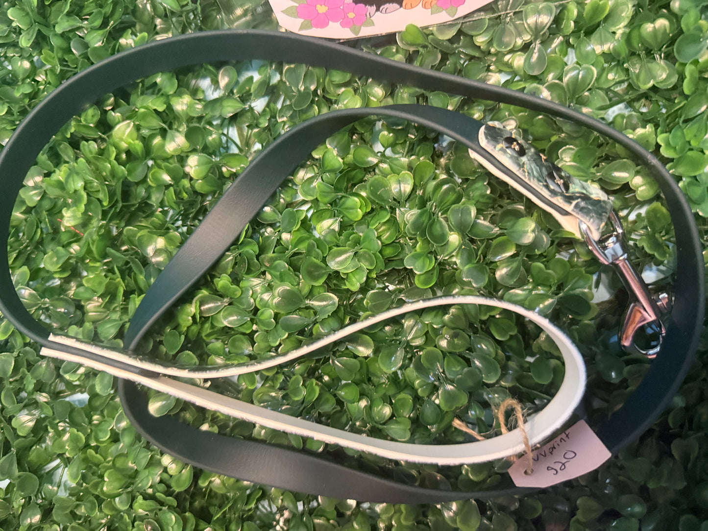 Biothane leash