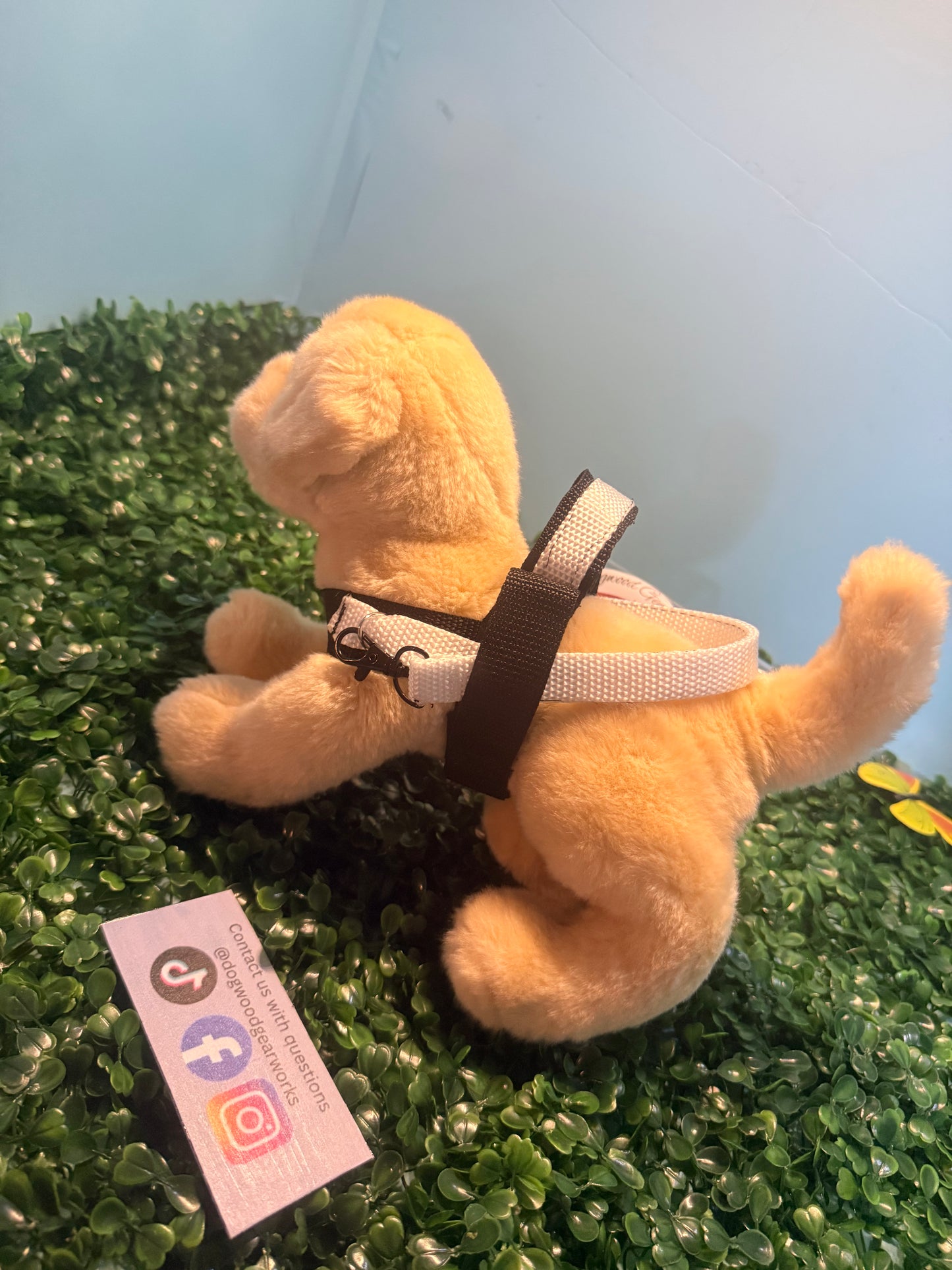 Adopt me- Milo