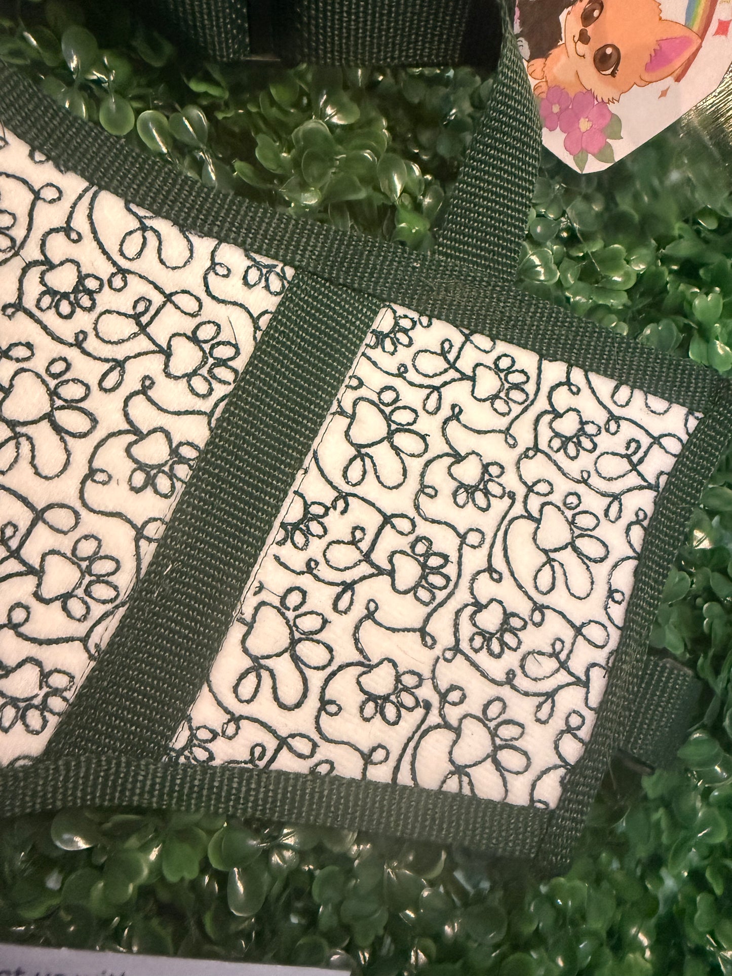 Pawesome Velcro vest