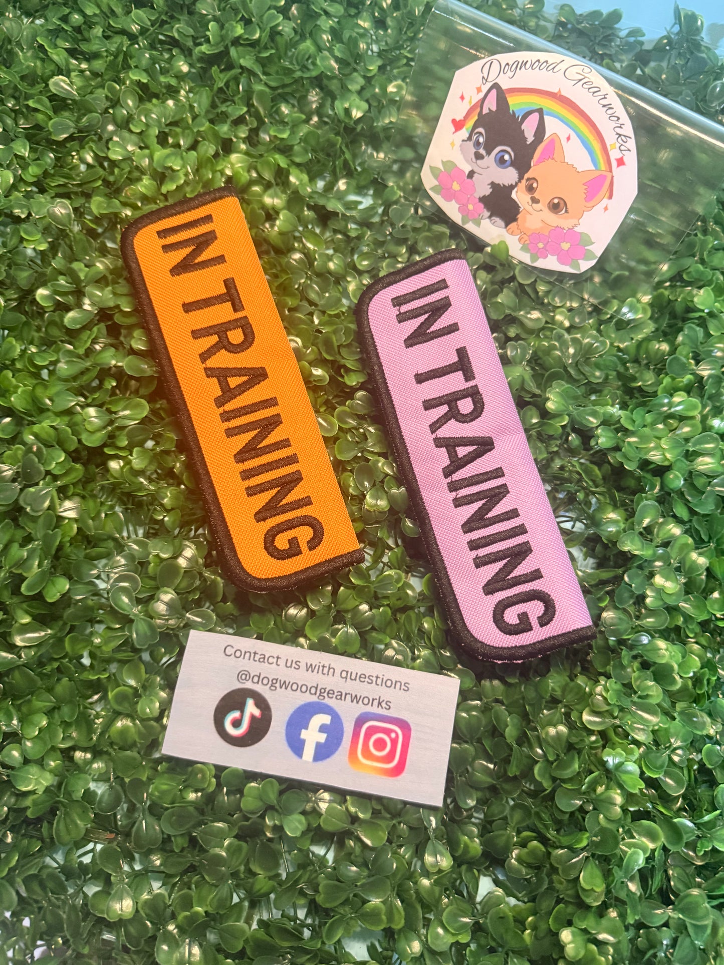 In training wrap