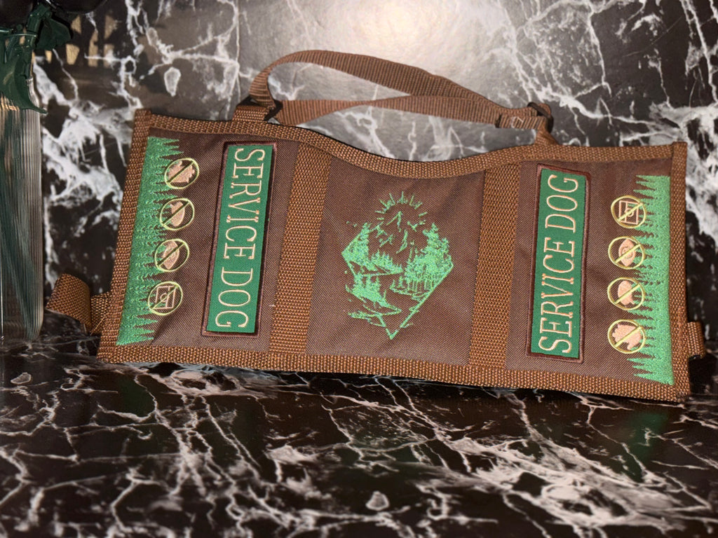 Mountain Vest (flawed)